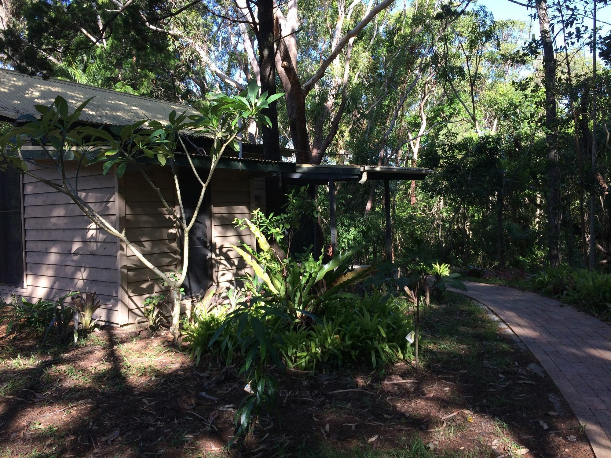 Byron Bay Rainforest Resort ภายนอก รูปภาพ
